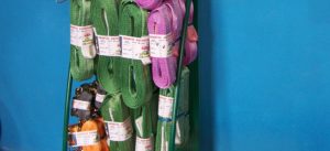 ΑΘΗΝΑ ΙΜΑΝΤΕΣ